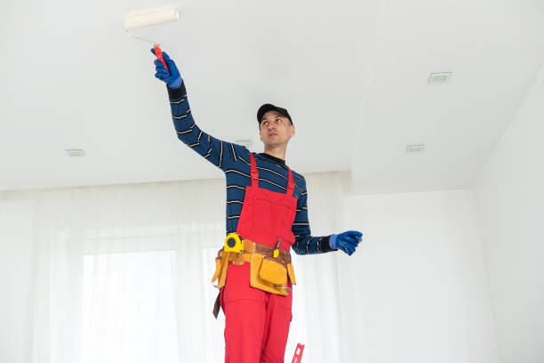 Best Fire-Damaged Drywall Repair  in Ocean Shores, WA